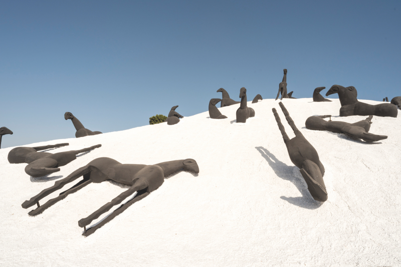 Gibellina 2026 Paladino Montagna di Sale, Mimmo Paladino