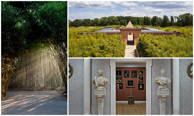 Labirinto della Masone